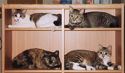 �L�}���V����