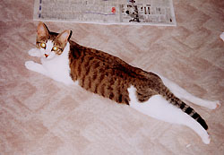 ���� �܂�