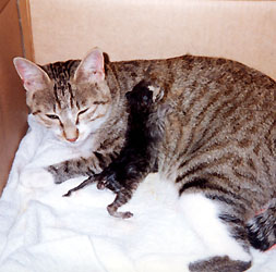 �����o�Y����