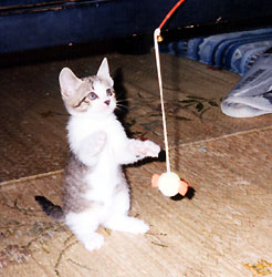 ��n�ɗ���