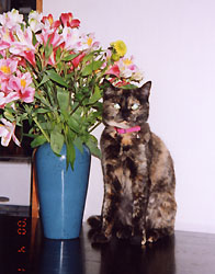 ���т���