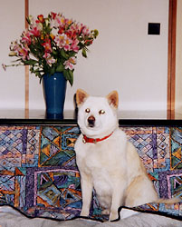 �����[����