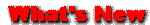 �V�����