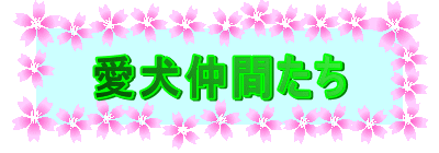 愛犬仲間たち