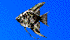 }[u