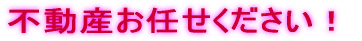 �s���Y���C�����������I