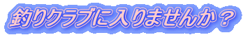 ނNuɓ܂񂩁H