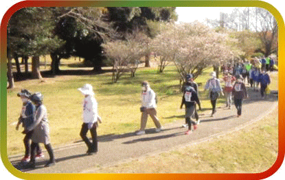 かみGO!ウォーキングの様子:公園内を歩く様子