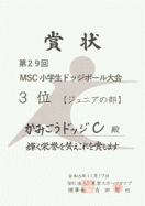 ジュニアの部：かみごうドッジＣ　３位