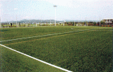 サッカー場(人工芝)