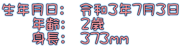 NF@ߘa3N73 @@NF@2 @@gF@373mm
