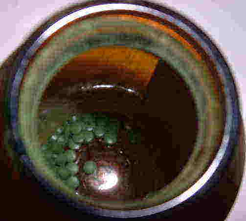 グロスミンはご覧の様にビンの内側に緑の粉が付着します、これが本物の証！
