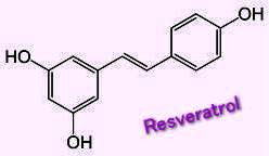 レスベラトロール　resveratrol