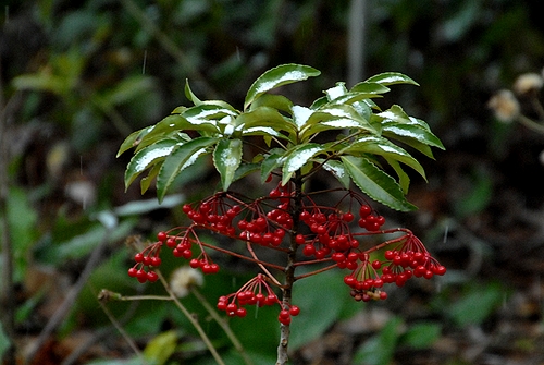 �}�������E