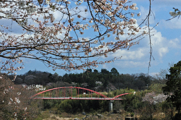 平戸橋公園２