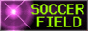 SOCCER FIELD