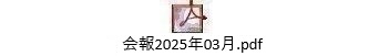 2025N03
