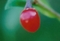 NR