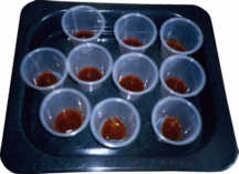 NO,3