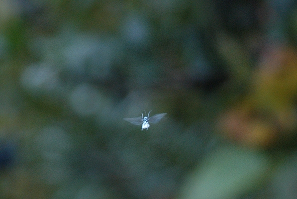 ᒎ2
