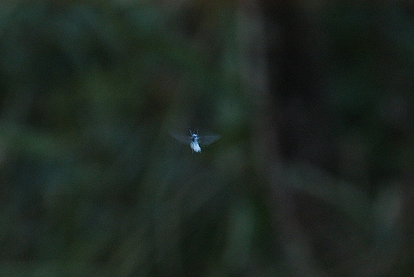 ᒎ3