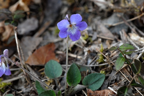 �j�I�C�^�`�c�{�X�~��