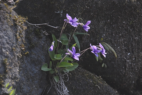 �m�W�X�~��