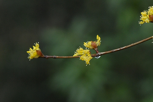 �T���V����