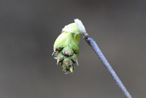 �g�T�~�Y�L