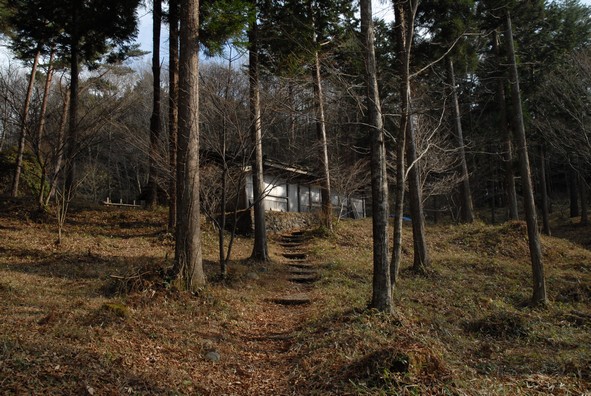 2006年12月1