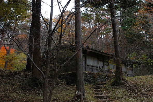 2010年11月1