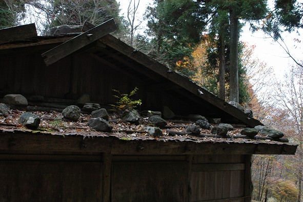 2010年11月3